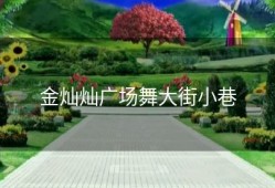 金灿灿广场舞大街小巷