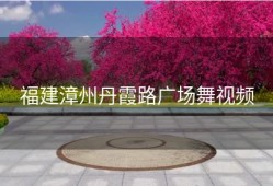 福建漳州丹霞路广场舞视频