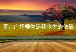 青儿广场舞你是我今生的依靠