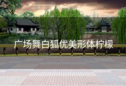 广场舞白狐优美形体柠檬