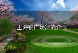 王海锦广场舞简介