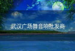 武汉广场舞音响批发商