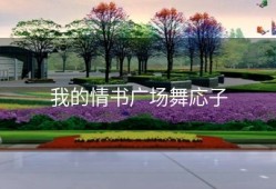 我的情书广场舞応子