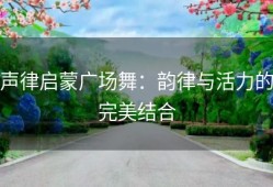 声律启蒙广场舞：韵律与活力的完美结合