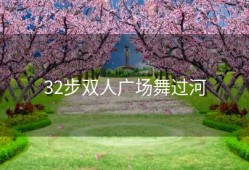 32步双人广场舞过河