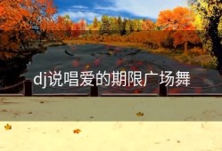 dj说唱爱的期限广场舞
