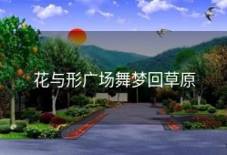 花与形广场舞梦回草原
