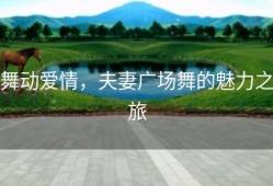 舞动爱情，夫妻广场舞的魅力之旅