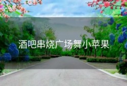 酒吧串烧广场舞小苹果