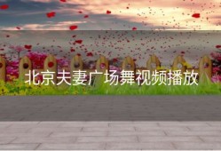 北京夫妻广场舞视频播放