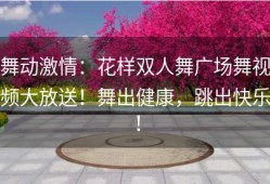 舞动激情：花样双人舞广场舞视频大放送！舞出健康，跳出快乐！