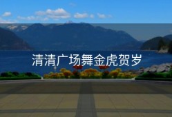清清广场舞金虎贺岁