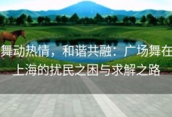舞动热情，和谐共融：广场舞在上海的扰民之困与求解之路
