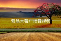 紫晶木莓广场舞视频