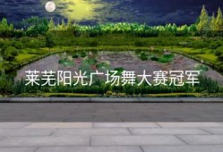 莱芜阳光广场舞大赛冠军