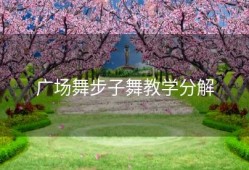 广场舞步子舞教学分解