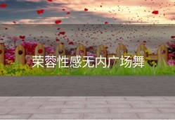 荣蓉性感无内广场舞