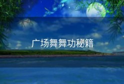 广场舞舞功秘籍