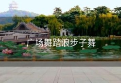 广场舞踏浪步子舞