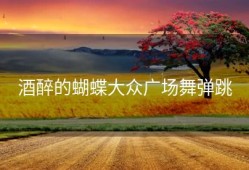 酒醉的蝴蝶大众广场舞弹跳