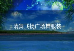 清舞飞扬广场舞服装