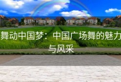 舞动中国梦：中国广场舞的魅力与风采