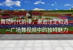 舞动时代韵律，邂逅注定相遇——广场舞视频中的独特魅力
