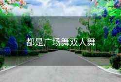 都是广场舞双人舞