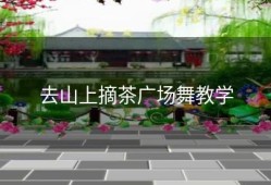 去山上摘茶广场舞教学