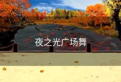 夜之光广场舞