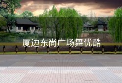 厦边东尚广场舞优酷