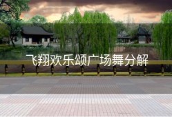 飞翔欢乐颂广场舞分解