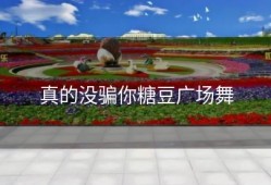 真的没骗你糖豆广场舞