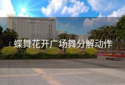 蝶舞花开广场舞分解动作