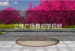 立体广场舞初学视频