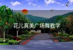 花儿真美广场舞教学