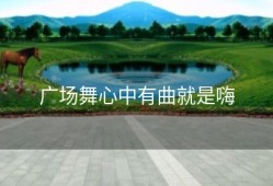 广场舞心中有曲就是嗨