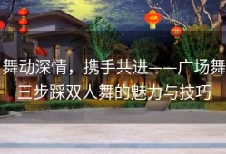 舞动深情，携手共进——广场舞三步踩双人舞的魅力与技巧