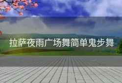 拉萨夜雨广场舞简单鬼步舞