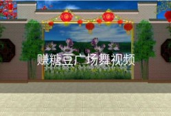 赚糖豆广场舞视频