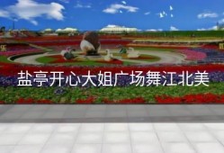 盐亭开心大姐广场舞江北美