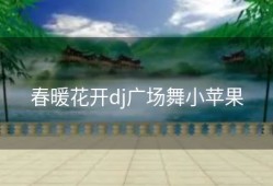 春暖花开dj广场舞小苹果