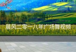 晨风二零一八年广场舞视频