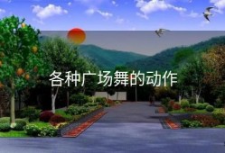 各种广场舞的动作