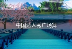 中国达人秀广场舞