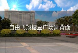 自由飞翔糖豆广场舞背面