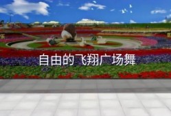 自由的飞翔广场舞