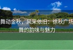 舞动金秋，风采依旧：徐秋广场舞的韵味与魅力