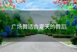 广场舞适合夏天的舞蹈