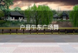 户县牛东广场舞